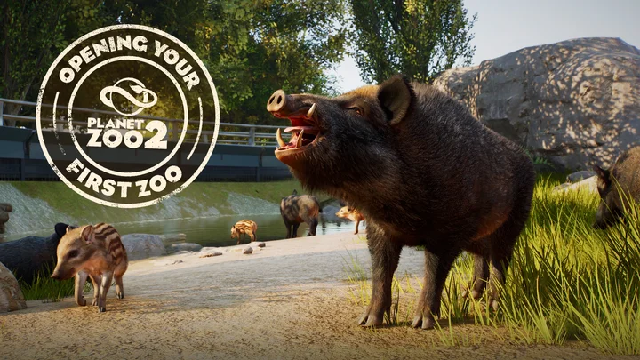 Abrindo seu Primeiro Zoológico