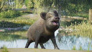 Countdown to Launch - Planet Zoo 2
