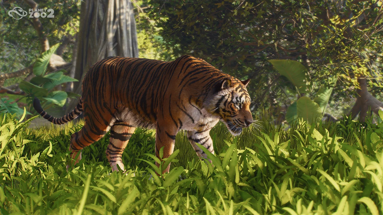 Conseils pour photographier les animaux avec le mode photo de Planet Zoo 2