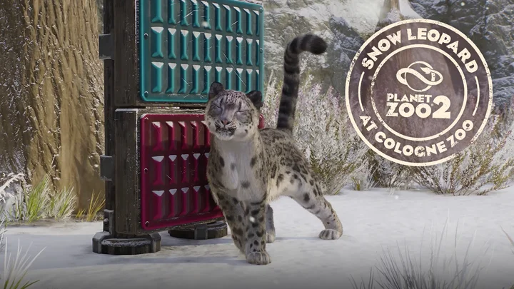 Planet Zoo 2 - Meet The Snow Leopard at Cologne Zoo! 