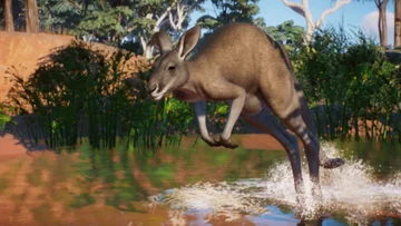 Planet Zoo - Pack Australie disponible le 25 août