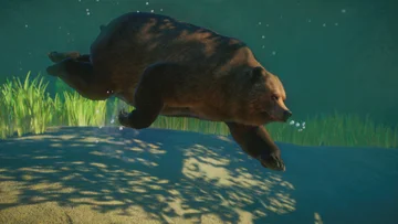 Planet Zoo 1.6 Update