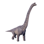 Brachiosaurus