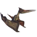 Pteranodon