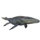 Mosasaurus