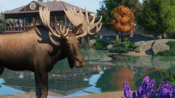 La mise à jour 1.7 et le Pack animaux Amérique du Nord sont disponibles dès maintenant !