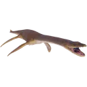 Plesiosaurus