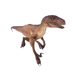 Velocirraptor