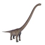 Mamenchisaurus