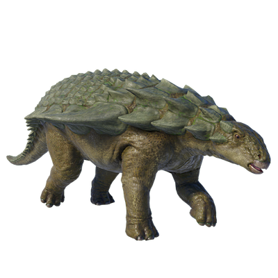 超希少！ ノドサウルスの装甲板とアンキロサウルスの装甲板