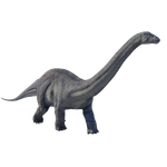 Apatosaurus