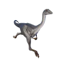 Archaeornithomimus