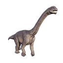 Camarasaurus