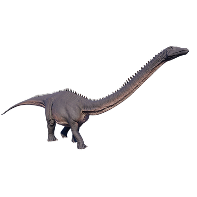 Diplodocus Diplodocus