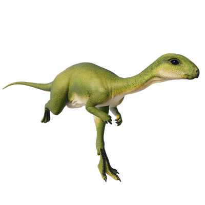 Dryosaurus