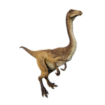 Gallimimus