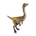 Gallimimus