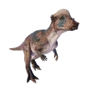 Pachycephalosaurus