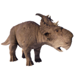 Pachyrinosaure