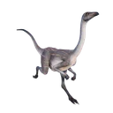 Struthiomimus
