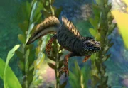 Danube Crested Newt