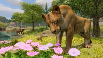 Mise à jour 1.10 de Planet Zoo disponible le 21 juin