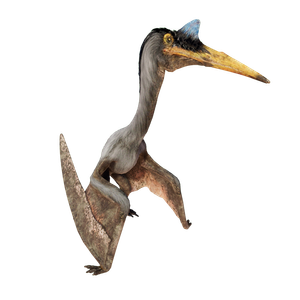 Quetzalcoatlus