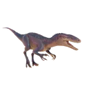 Australovenator