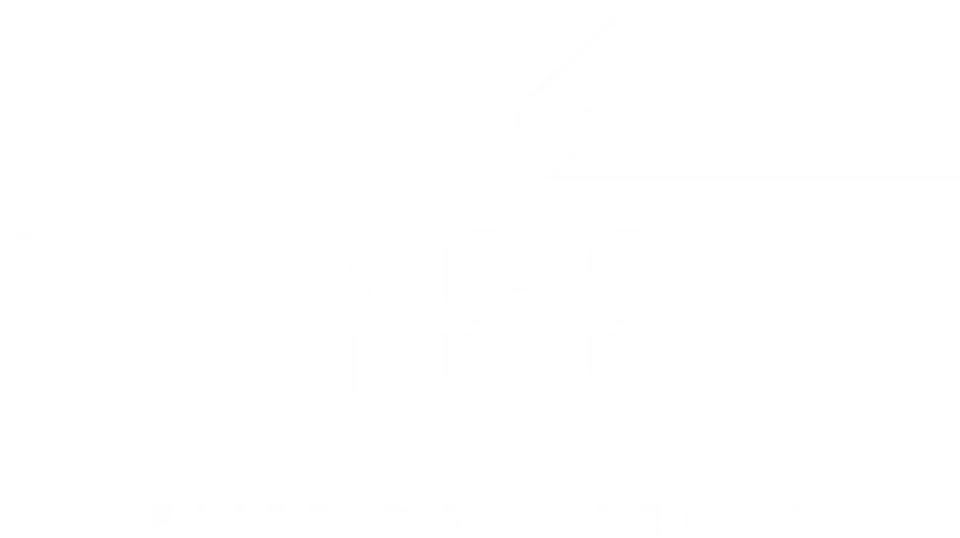 Elite Dangerous: Odyssey