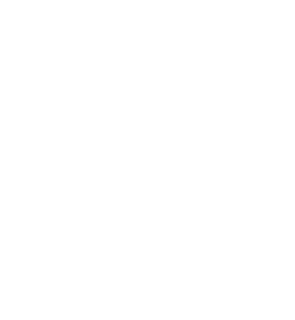 Elite Partner Program Logo