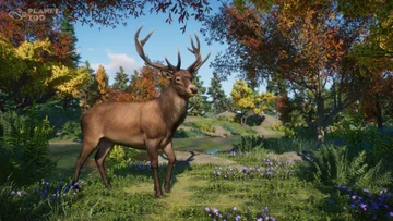 Update 1.11.2 and Planet Zoo 3rd Anniversary!