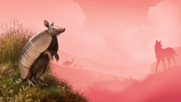 Planet Zoo: Grasslands Animal Pack Arriving 13 December