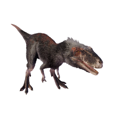 Deinocheirus, DinoDB