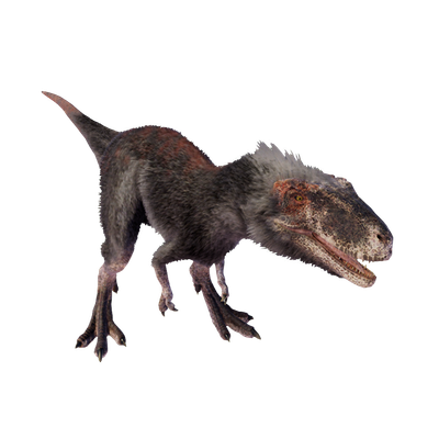 Moros Intrepidus Moros Intrepidus