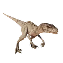 Atrociraptor