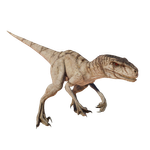 Atrociraptor