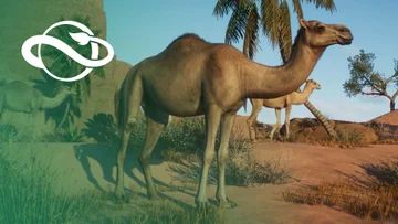 Pacchetto animali della Clima arido - Trailer di presentazione