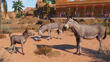 Planet Zoo: Arid Animal Pack and Free Update 1.14 Out Now!