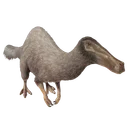 Deinocheirus