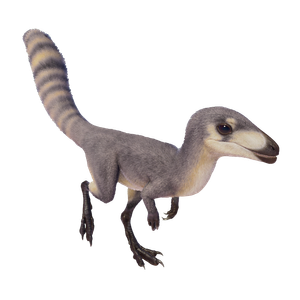 Deinocheirus, DinoDB