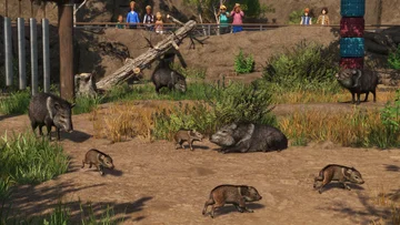 Mise à jour 1.15.2 et 4e anniversaire de Planet Zoo !