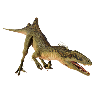 Concavenator Concavenator