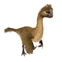 Gigantoraptor