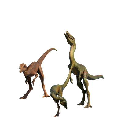 Compsognato