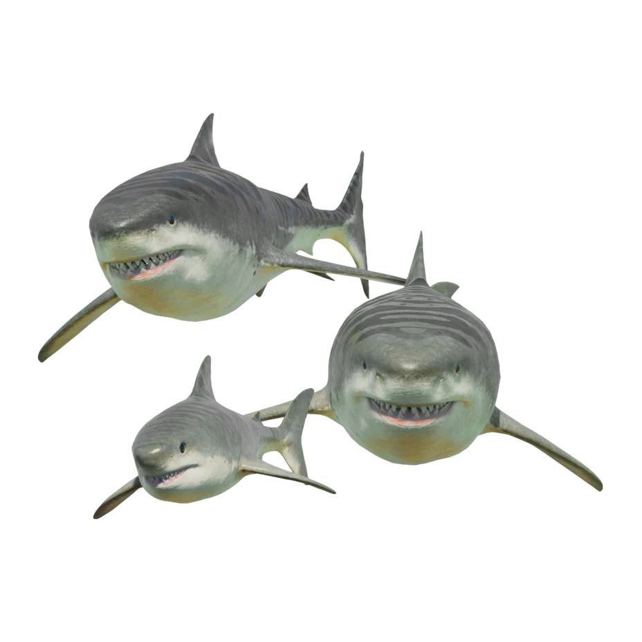 Megalodon