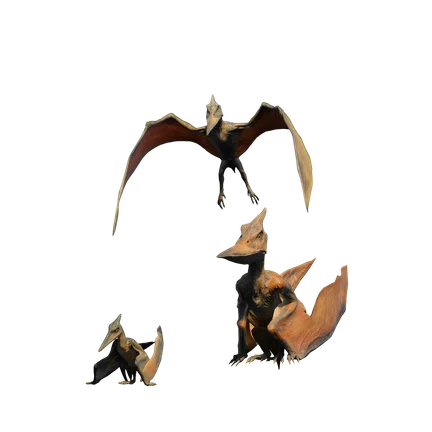 Pteranodonte