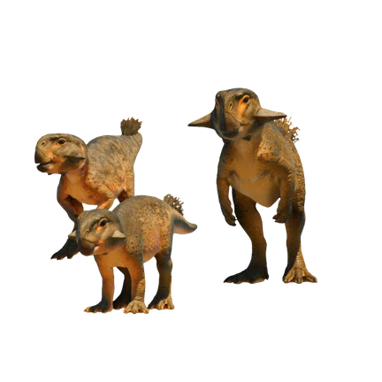 Psittacosaurus