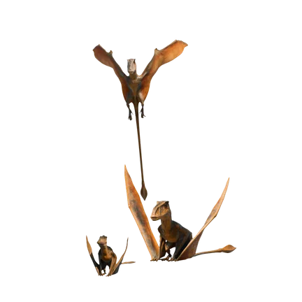 Dimorfodonte