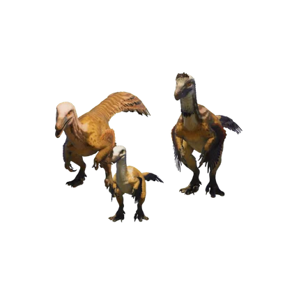 Austrorraptor