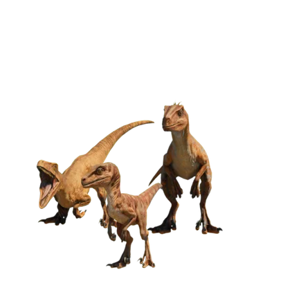 Velociraptor